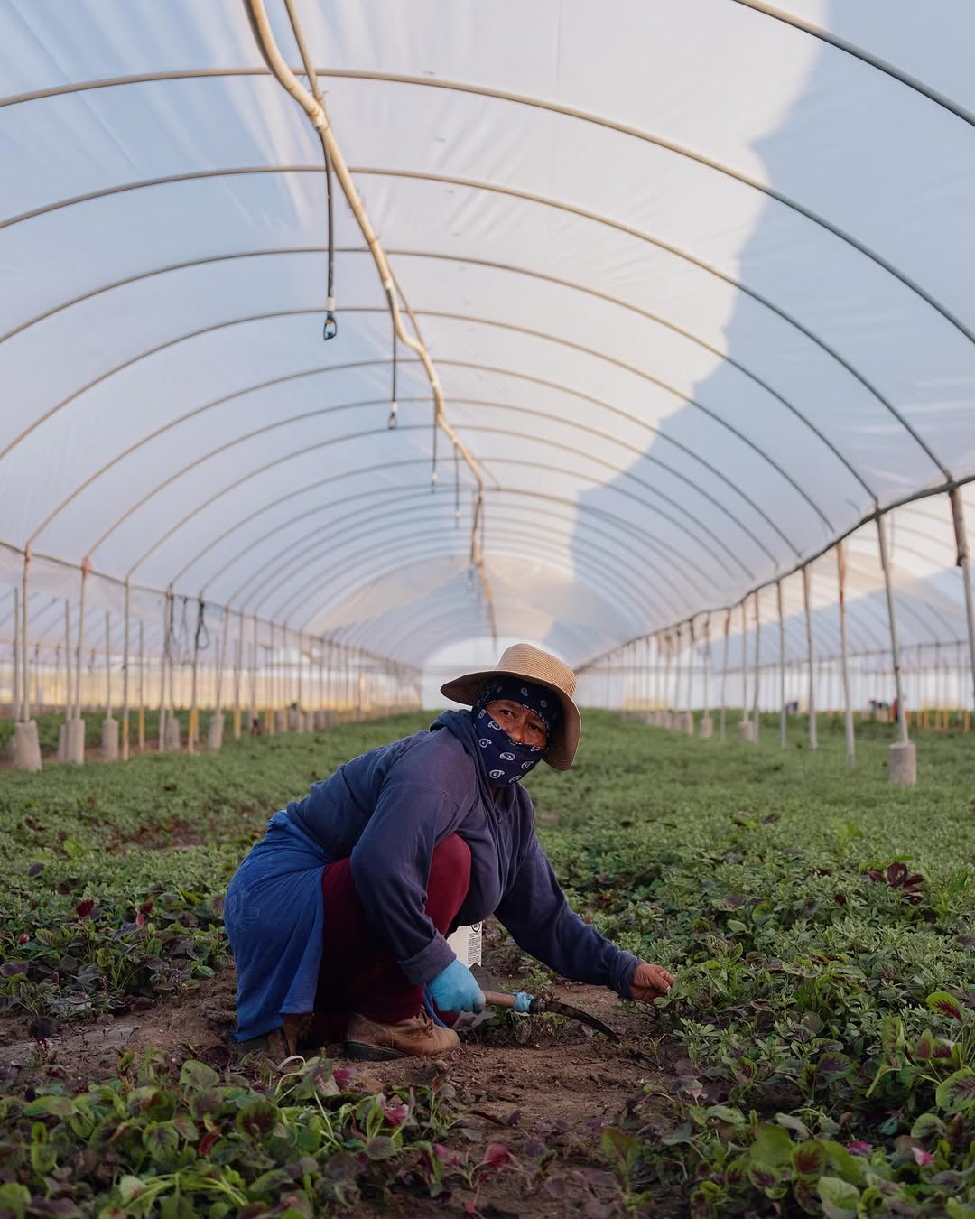 Adam Perez: Turning Pain Into Powerful Art