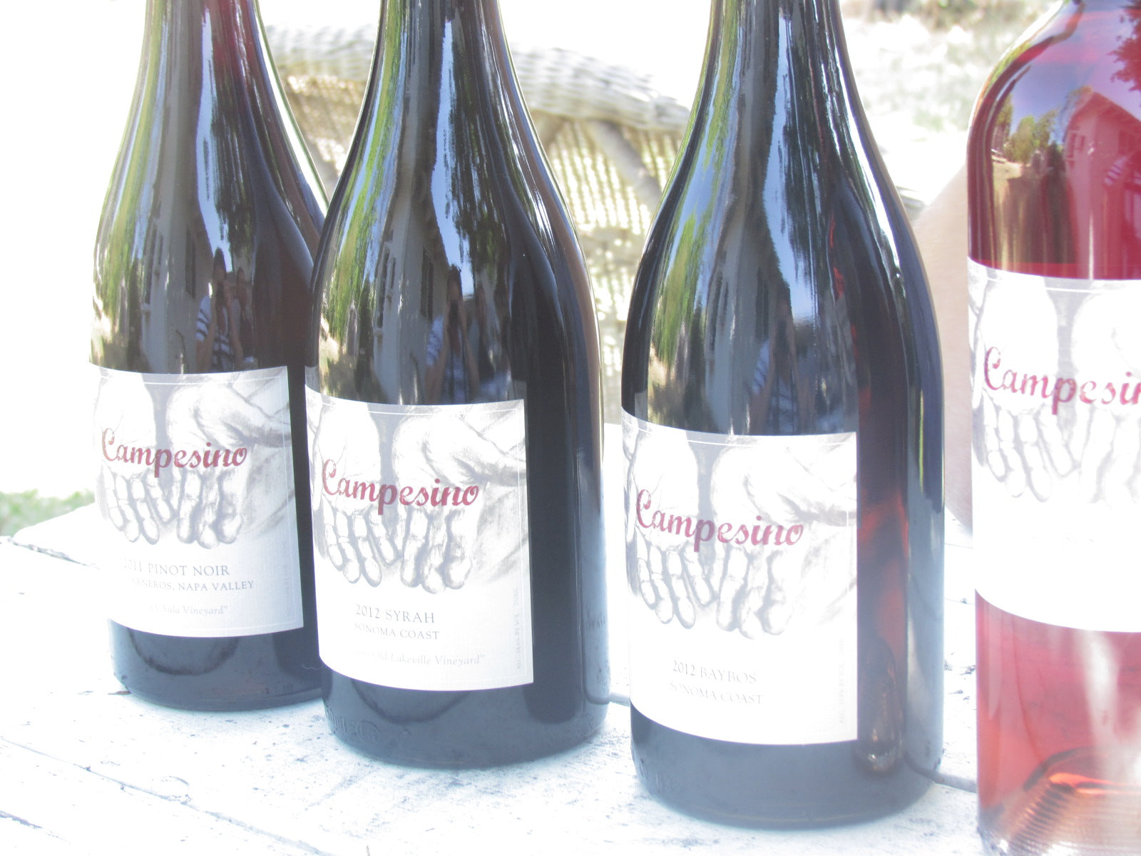 Macario Montoya & Griselda Ceja Montoya - Campesino Cellars