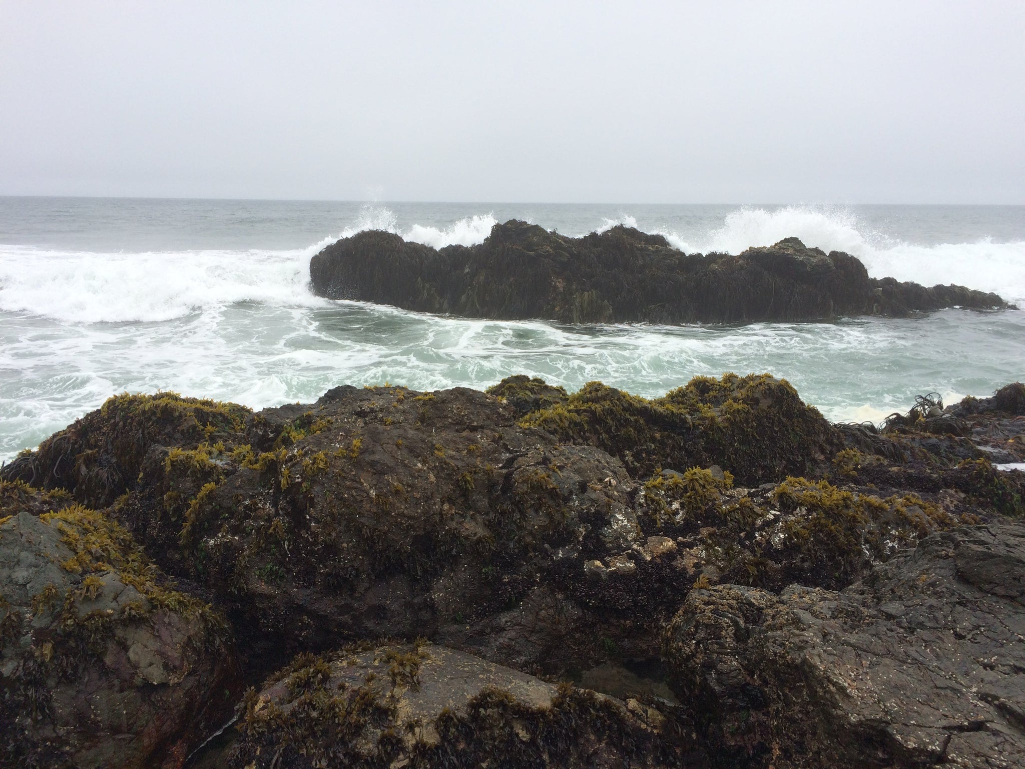 Standing Up in the Wake of the “Big Ugly Bill”