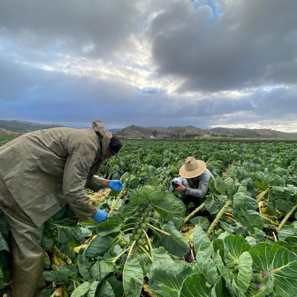 CAMPESINOS: America's Unsung Heroes Private Screening at Mexican Heritage Plaza