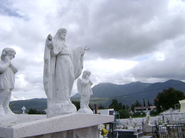 What Widows Should Look for in a Financial Advisor