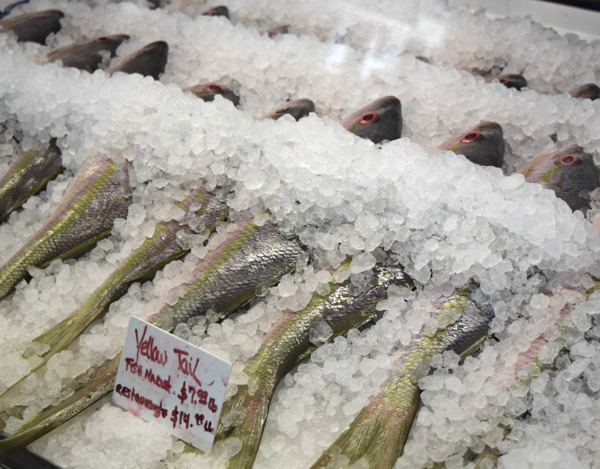 TravelsWithChilly - Miami & Key West Part I